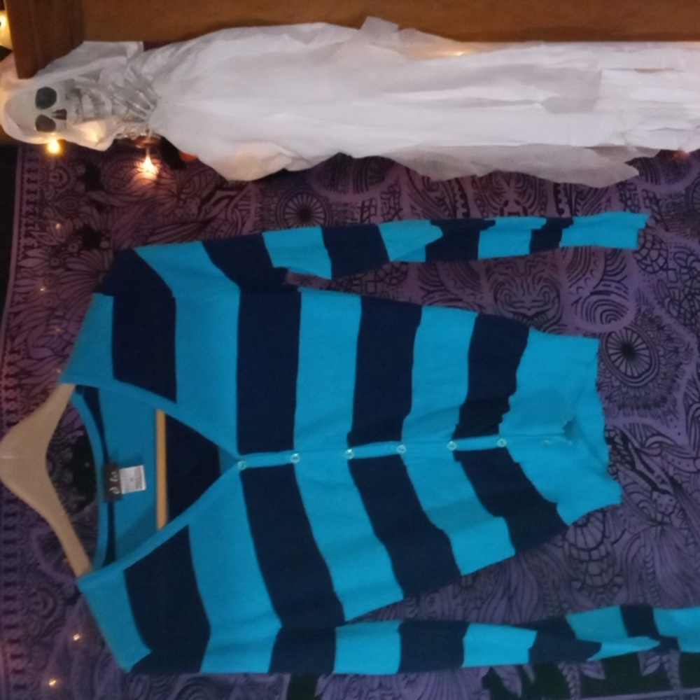 Striped Blue Cardigan
